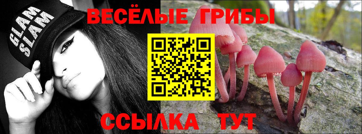 Галлюциногенные грибы прущие грибы Ефремов