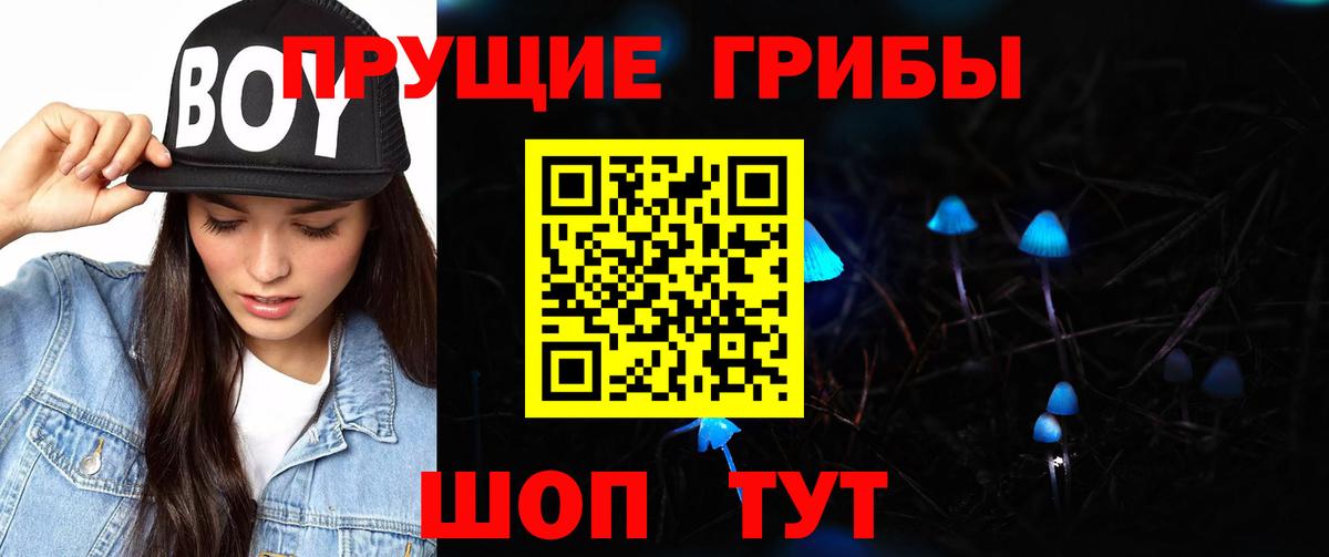 Псилоцибиновые грибы Psilocybine cubensis  Вход с VPN  купить   Ефремов 